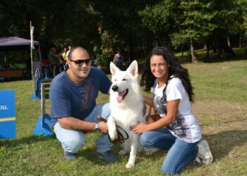 V^ Esposizione Nazionale Canina a Crotone, tra i premiati un cane Cirotano
